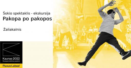 A tour and dance production "Step by Step" I Žaliakalnis 10:00