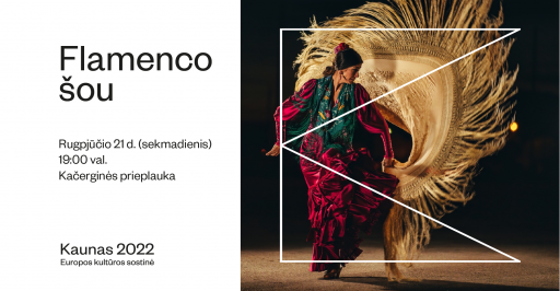 Flamenco šou 19:00