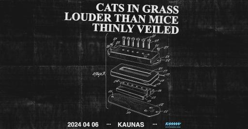 Cats In Grass x Louder Than Mice x Thinly Veiled | Koncertas 20:00