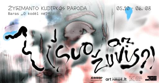 Belly-up Dream (Dog or Fish?) | Žygimantas Kudirka exhibition opening 19:00