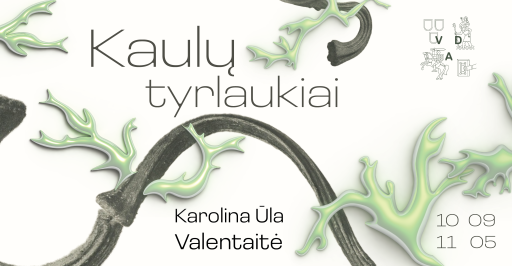 „Kaulų tyrlaukiai“ Karolinos Ūlos Valentaitės paroda 14:00