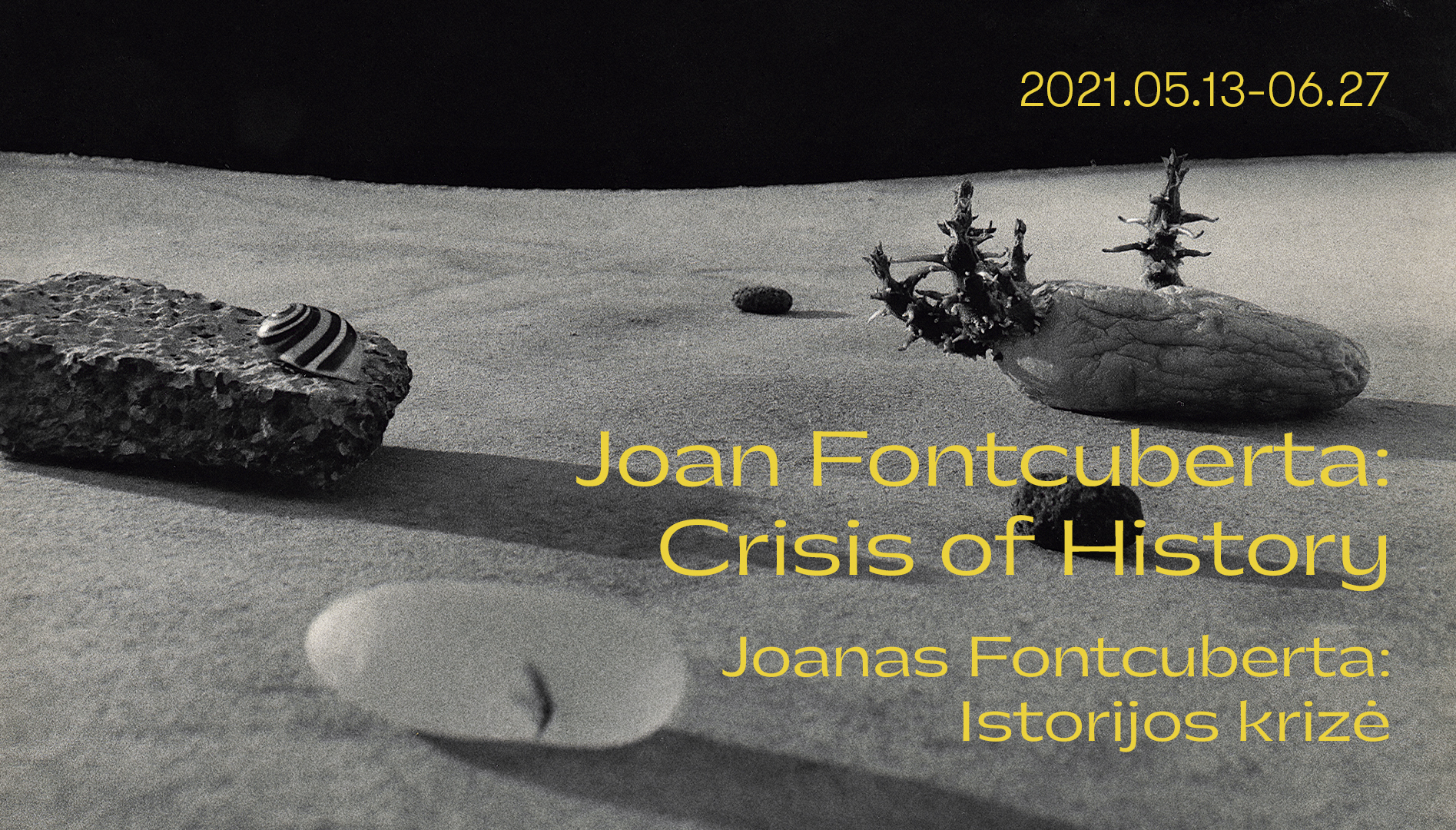 Joan Fontcuberta paroda „Istorijos krizė“: virtuali ekskursija