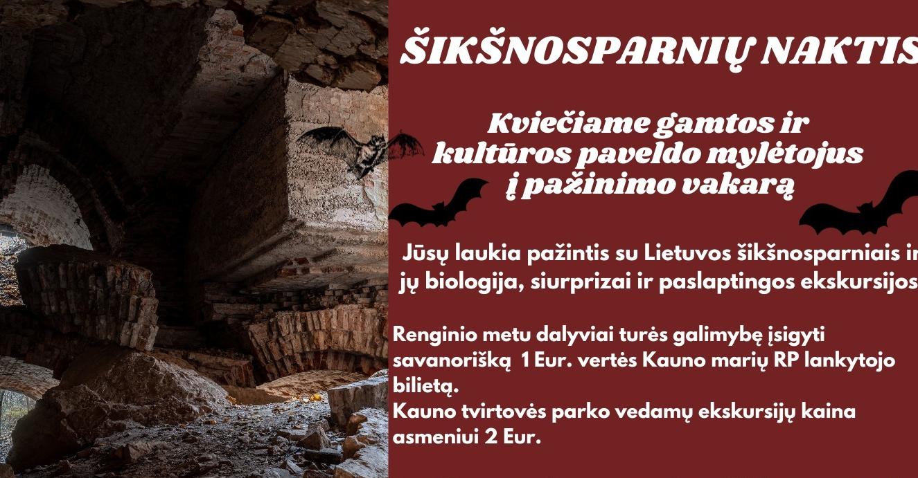 Šikšnosparnių naktis 2024